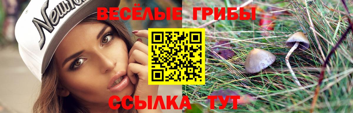 Псилоцибиновые грибы Cubensis  Галлюциногенные грибы Magic Shrooms  Вход с VPN  Гусев 
