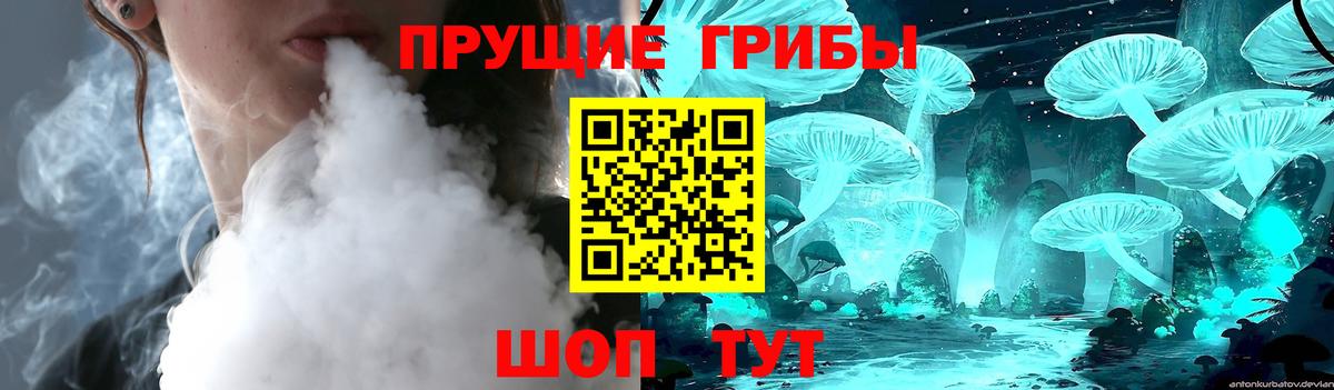 Галлюциногенные грибы GOLDEN TEACHER Гусев