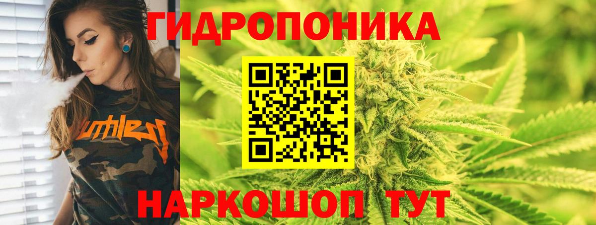 Шишки марихуана сатива Гусев